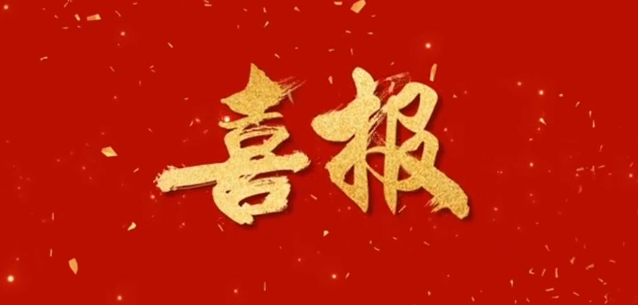 携手合作 引领未来丨热烈庆祝龙8唯一官网成为海康威视一级代理商